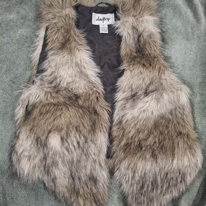 Faux Fur Vest from Daytrip with Brown and Gray Tones